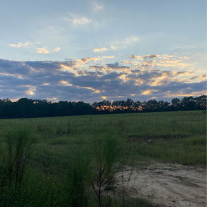 Meet your Posher, Alice